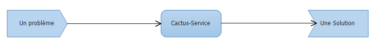 SADT Cactus-Service